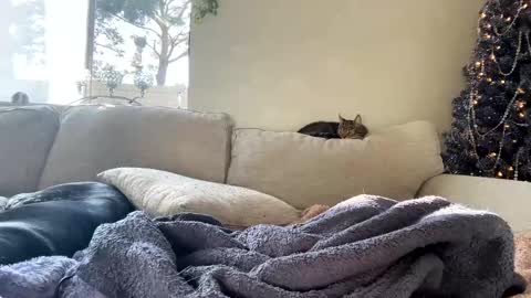 GoddessMayvn online show from 01/07/25, 11:03