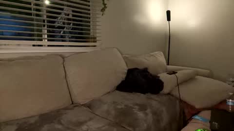 GoddessMayvn online show from 01/26/25, 07:32