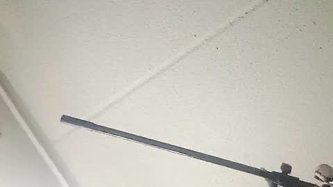 Taffy and Rmurda online show from 03/19/26, 10:19