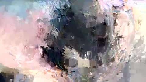 Go Ginkgo online show from 01/07/25, 12:03