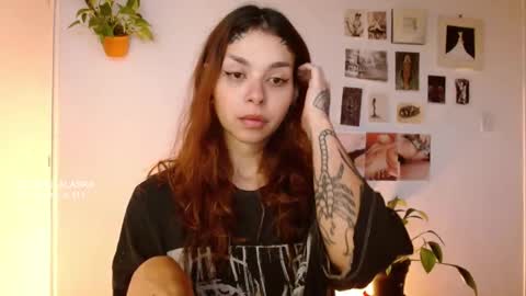 Alaska online show from 10/29/25, 11:56