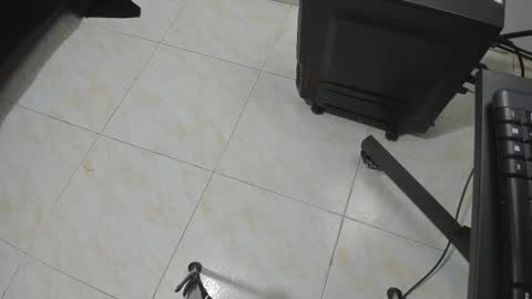 goldyht online show from 12/16/25, 12:54