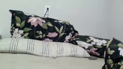 lightskingirl19 online show from 04/10/26, 07:24