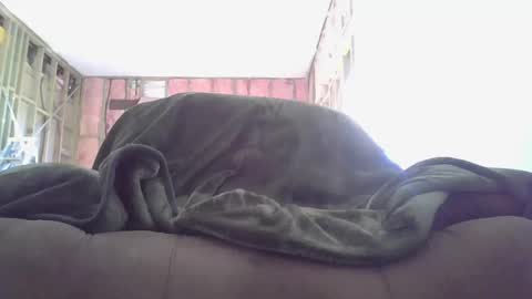 Snapshot of goodcock12345 chatting on 12/03/24, 08:28 goodcock12345 online show from 12/03/24, 08:28