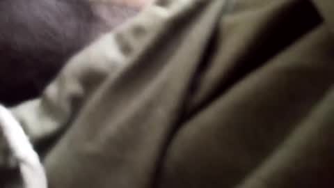 Snapshot of goodfucker3252 chatting on 01/05/25, 09:25 Arab Pronstar online show from 01/05/25, 09:25