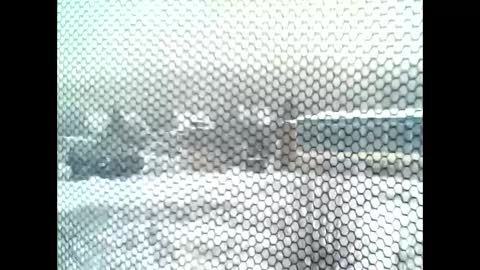 google5001 online show from 01/11/26, 07:57