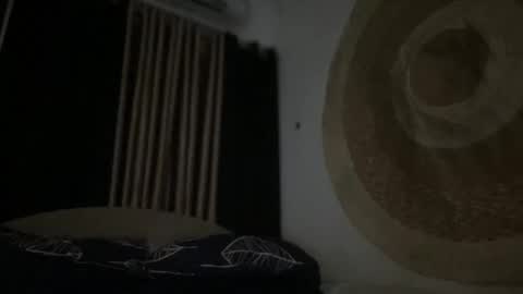 Lyn online show from 11/29/25, 03:15