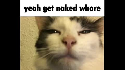 Snapshot of goth_pumpkin chatting on 03/03/25, 12:26 Amy online show from 03/03/25, 12:26