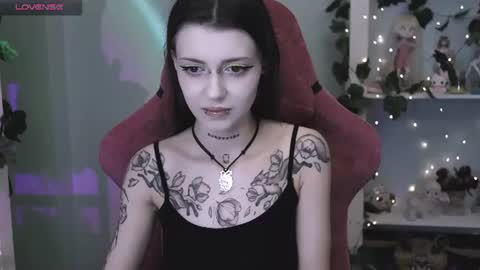 V online show from 06/23/26, 11:47