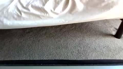 watch me stroke online show from 05/11/26, 04:04