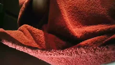 Snapshot of grapefruit chatting on 03/01/25, 09:59 grapefruit online show from 03/01/25, 09:59