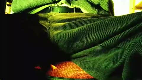 Snapshot of grapefruit chatting on 11/12/25, 09:21 grapefruit online show from 11/12/25, 09:21