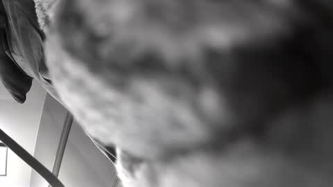 Get US to 1000 you wont be disapointed online show from 12/10/24, 06:22