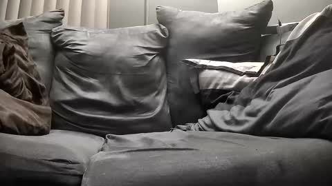 Get US to 1000 you wont be disapointed online show from 12/14/24, 08:45