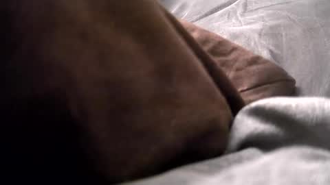 Get US to 1000 you wont be disapointed online show from 12/16/24, 04:13