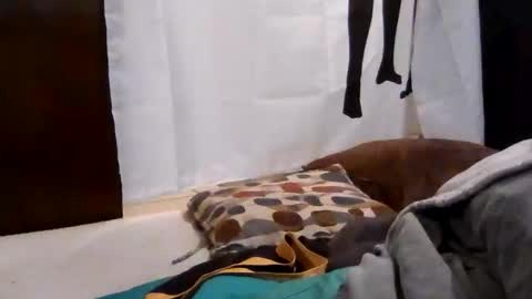 Get US to 1000 you wont be disapointed online show from 12/18/25, 03:23