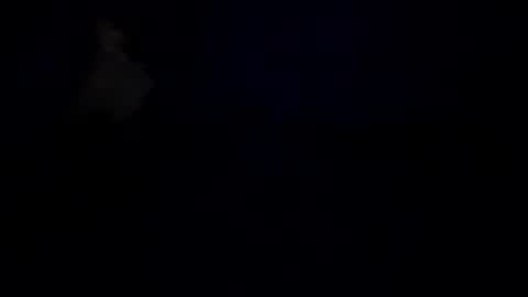 Snapshot of greatest166 chatting on 01/30/25, 02:04 mike Stienburg online show from 01/30/25, 02:04