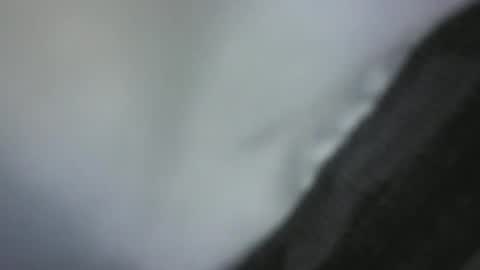 Snapshot of green_robin_hood chatting on 12/02/24, 04:42 Green Robin Hood online show from 12/02/24, 04:42