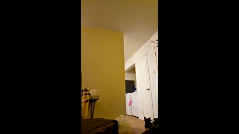 Snapshot of greenvertgo chatting on 12/15/25, 12:59 greenvertgo online show from 12/15/25, 12:59