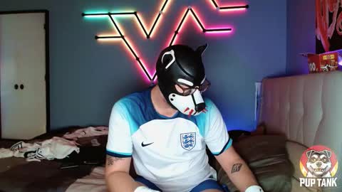 Alpha pup online show from 11/01/25, 07:16