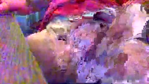 Gary online show from 12/12/24, 02:37