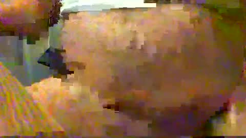 Gary online show from 12/15/24, 04:29