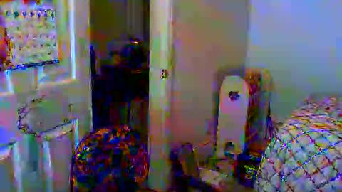 Gary online show from 01/06/25, 11:29