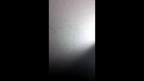 Snapshot of gudonoso chatting on 12/16/25, 08:19 gudonoso online show from 12/16/25, 08:19