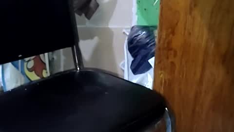 guillermo723 online show from 05/02/26, 03:44