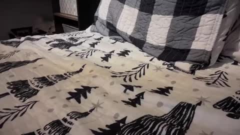 gumbywanna online show from 01/03/25, 01:05