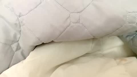 guttybeton online show from 04/27/26, 07:17