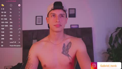 Snapshot of guy_twinks chatting on 05/20/26, 06:08 Gabriel online show from 05/20/26, 06:08
