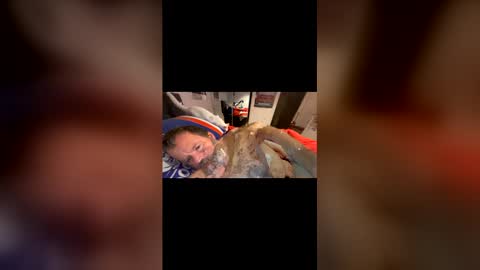 h20976 online show from 03/22/26, 11:35