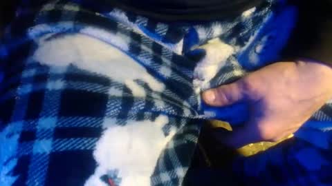 Snapshot of h2omygod chatting on 01/17/25, 02:07 H2omygod online show from 01/17/25, 02:07