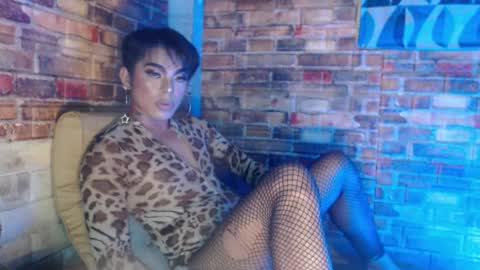 Snapshot of hadasam26 chatting on 12/15/24, 02:59 SAM online show from 12/15/24, 02:59