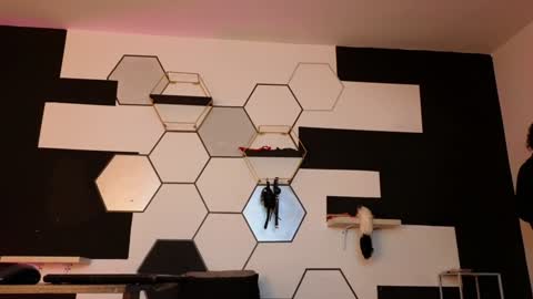 haileycat_ online show from 02/06/25, 02:33