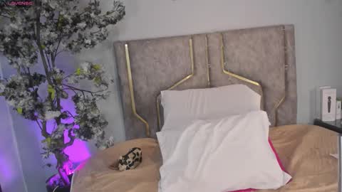 haileystonei online show from 12/16/25, 11:59