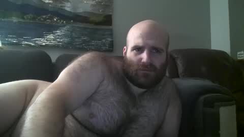 Hairiest Bear online show from 01/30/25, 09:04