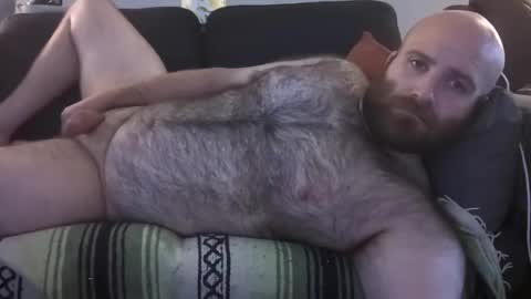 Snapshot of hairiestbear chatting on 07/23/26, 12:36 Hairiest Bear online show from 07/23/26, 12:36