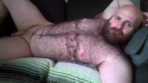Snapshot of hairiestbear chatting on 08/01/26, 08:08 Hairiest Bear online show from 08/01/26, 08:08
