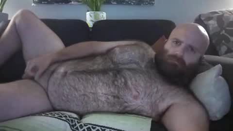 Snapshot of hairiestbear chatting on 08/02/26, 09:08 Hairiest Bear online show from 08/02/26, 09:08