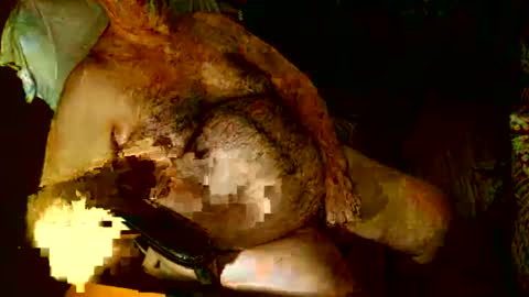 hairybear813 online show from 01/03/25, 12:11