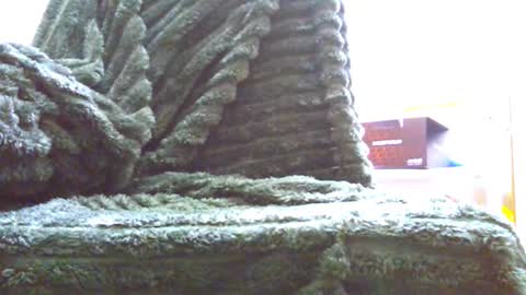 HairyHornyTwinkk online show from 11/14/25, 10:36