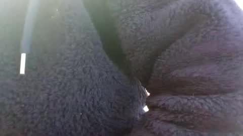 Snapshot of hairypussyxl chatting on 01/13/25, 05:33 hairypussyxl online show from 01/13/25, 05:33