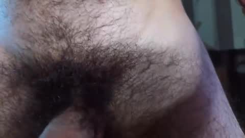 Snapshot of hairytwinkguy chatting on 02/28/25, 11:45 Hairy online show from 02/28/25, 11:45