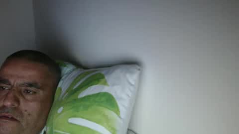 haled_77 online show from 03/31/26, 06:36