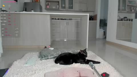 insta Laupalacio777Next stream 01th December online show from 12/12/24, 10:52