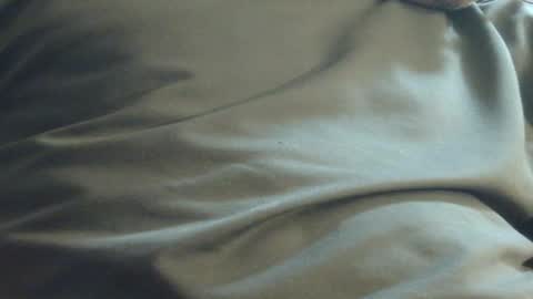 Snapshot of hamhead71 chatting on 12/01/24, 11:58 hamhead71 online show from 12/01/24, 11:58