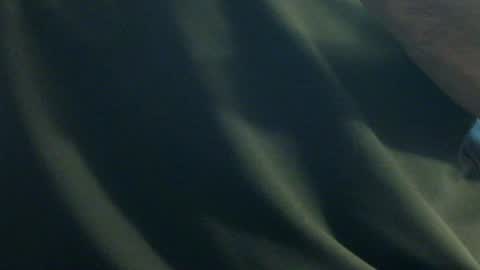 Snapshot of hamhead71 chatting on 12/27/24, 06:20 hamhead71 online show from 12/27/24, 06:20