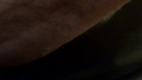 Snapshot of hamhead71 chatting on 01/14/25, 08:59 hamhead71 online show from 01/14/25, 08:59